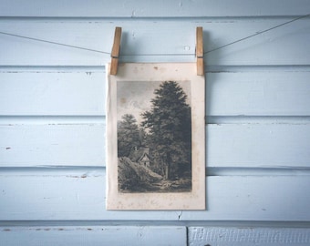 Rare find* 1871 Vintage Alder Lithograph Illustration