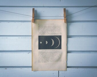 1884 Vintage Venus Opposition Sizes Illustration