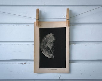 1888 Vintage Moon Illustration