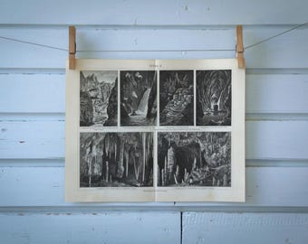 1907 Vintage Cave Lithograph Illustration