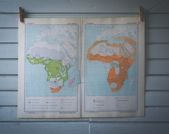 1964 Vintage Fauna Map of Africa