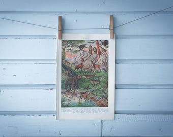 1937 Vintage Yugoslavian Fauna Illustration