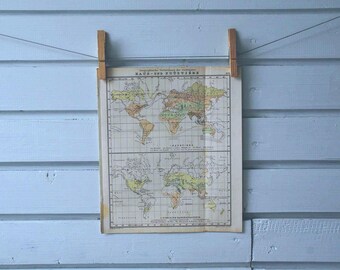 1910s Vintage World Fauna Map