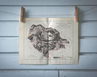 1871 Vintage Forestry Planning Map