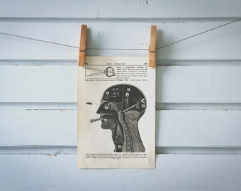 1936 Vintage Human Head Illustration