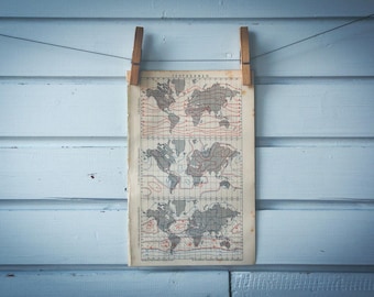 1887 Vintage World Climate Map