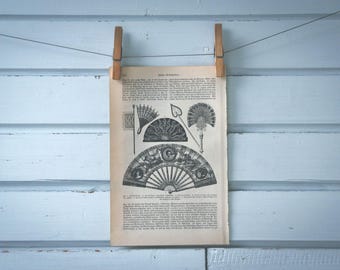 1907 Vintage Hand Fans Illustration