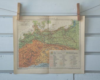 1894 Vintage Zoogeographical Map of Germany