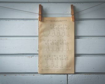 1887 Vintage Ancient Egyptian Deities Lithograph Illustration