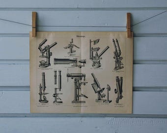 1890 Vintage Microscope Lithograph Illustration