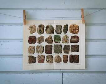 1907 Vintage Minerals & Rocks Chromolithograph Illustration