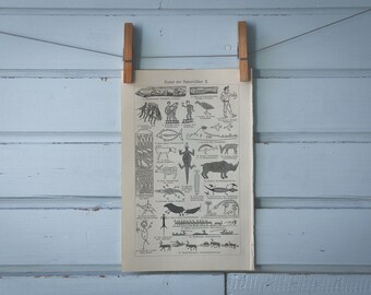 1907 Vintage Indigenous Art Lithograph Illustration