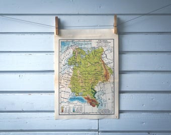 1946 Vintage Map of Russia