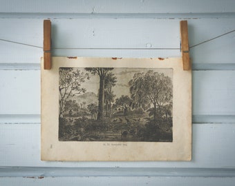 1916 Vintage Australian Landscape Lithograph Illustration