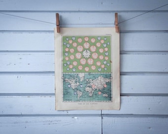 1901 Vintage World Time Zones Map