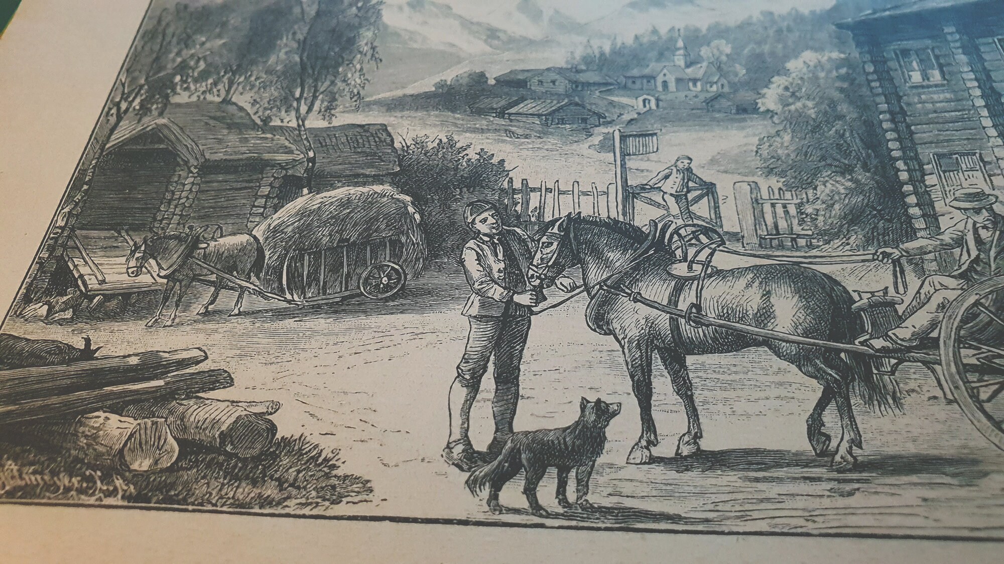 gallery photo