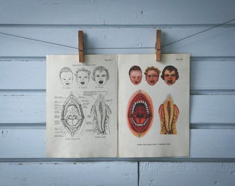 1957 Vintage Dentistry Illustration