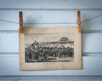 1890 Vintage English Derby Lithograph Illustration