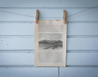 1897 Vintage Plott Balsams Lithograph Illustration