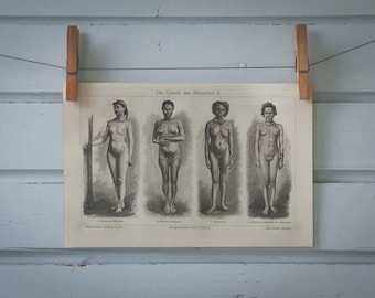 1907 Vintage Female Proportions Chromolithograph Illustration