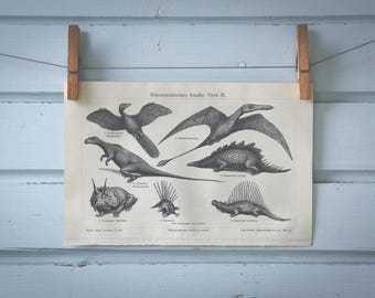 1907 Vintage Fossils Lithograph Illustration