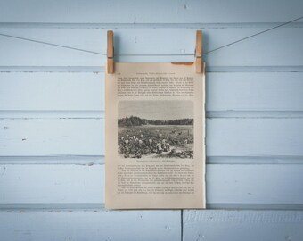 1897 Vintage Cotton Harvest Lithograph Illustration