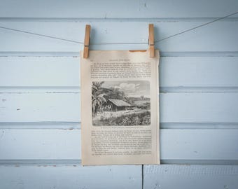 1897 Vintage Ranch Lithograph Illustration