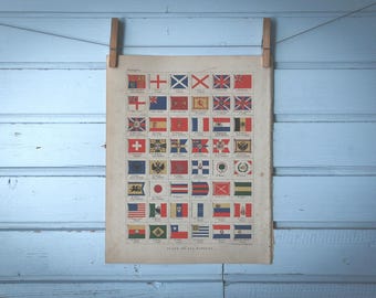 1895 Vintage Flags Illustration