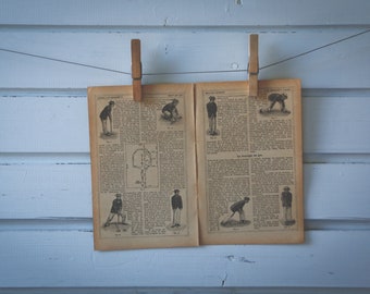 1921 Vintage Cricket Illustration