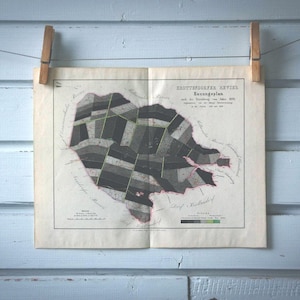 1871 Vintage Forstwirtschafts-Planungskarte