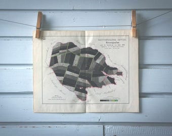 1871 Vintage Forestry Planning Map