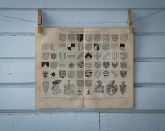 1887 Vintage Coat of Arms Lithograph Illustration