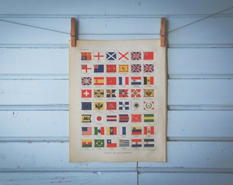 1901 Vintage Flags Illustration