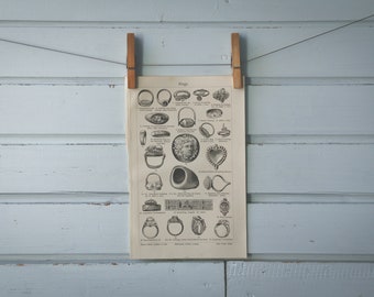 1907 Vintage Rings Illustration