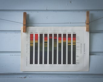 1907 Vintage Astronomy Spectrum Chart Chromolithograph Illustration