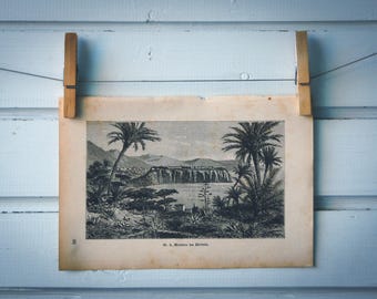 1890 Vintage Monaco Lithograph Illustration