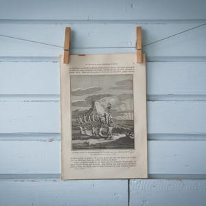 1897 Vintage Indigenous Peoples of Florida Ritual Lithograph Illustration