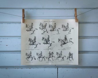 1907 Vintage Dressage Lithograph Illustration