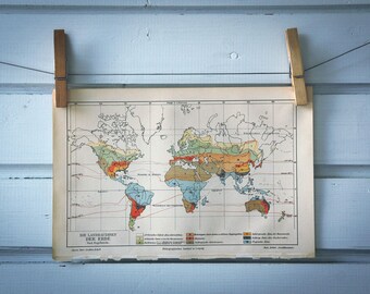 1907 Vintage World Agriculture Map