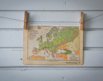1936 Vintage Europe Vegetation Map