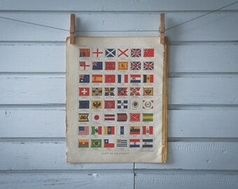 1907 Vintage Flags Illustration