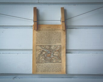 1911 Vintage Loket Map