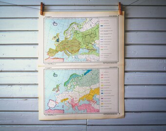 1964 Vintage Europe Fauna Map