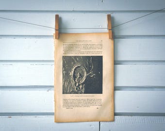 1884 Vintage Gassendi Crater Illustration