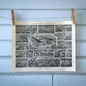 1907 Vintage Encyclopaedic Institute Lithograph Illustration