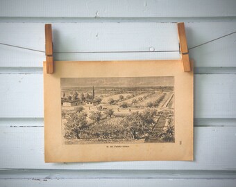 1894 Vintage The Po Valley Lithograph Illustration
