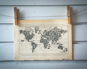 1935 Vintage Map of Global Distribution of Insects