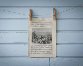 1897 Vintage Magdalena River Lithograph Illustration