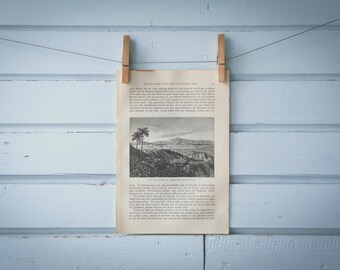 1897 Vintage Lake Valencia Lithograph Illustration