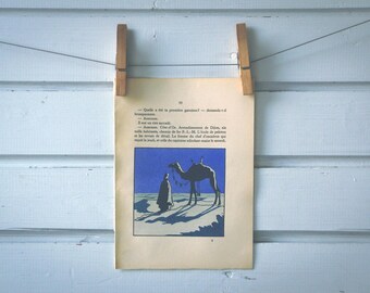 1930 Vintage Sahara Night Scene Illustration